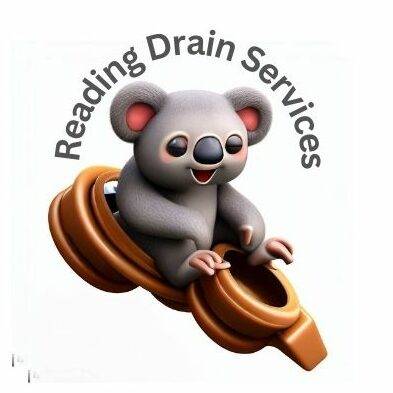 Logo of Reading Drain Services featuring a cartoon koala holding a drain rod and standing in front of a blocked drain. The koala has a friendly smile and wears a Gray shirt with the company name. The background is white with the company slogan "Your Local Drain Experts" written in Black. The logo represents the Drain company's commitment to providing reliable and friendly drain unblocking services in Reading and surrounding areas.